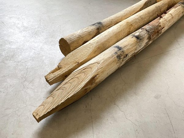 Kastanje paal - Ø 10-12 cm x 250 cm (geschild en gepunt)