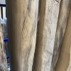 Wandplanken recht & boomstam (lange lengtes) - massief oud Eiken - 40 & 50 mm - Afbeelding 2