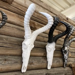 Schedel Ram - wit - groot
