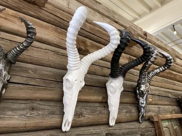 Schedel Ram - wit - groot