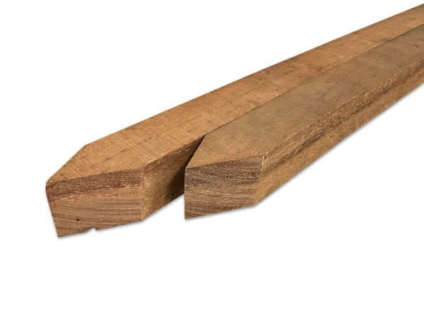 Paal - Hardhout - 50 x 50 mm - Gepunt