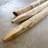 Paal (halfrond) - Kastanje - Ø10-12 cm - Geschild & Gepunt
