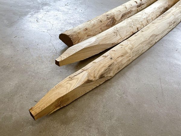 Paal (halfrond) - Kastanje - Ø10-12 cm - Geschild & Gepunt