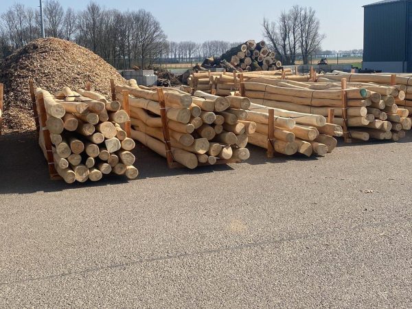 Paal - Robinia (acacia) - Geschuurd - Afbeelding 13