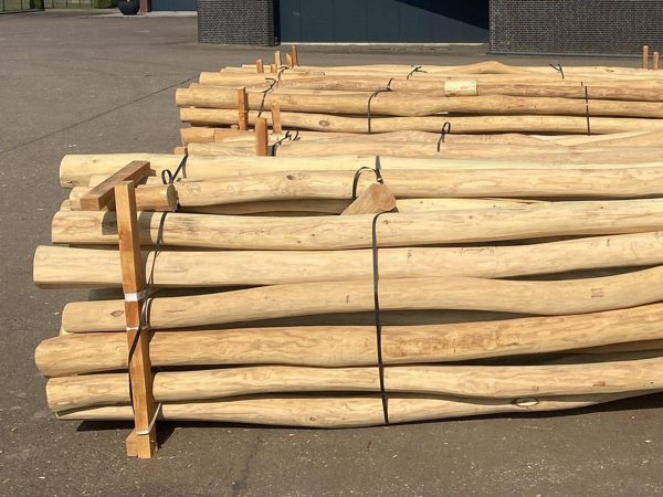 Paal - Robinia (acacia) - Geschuurd - Afbeelding 10