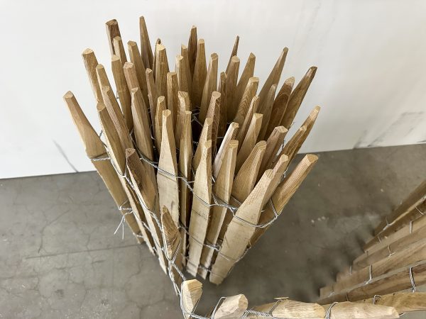 Robinia hekwerk op rol met latafstand 4-5 cm tegen witte achtergrond