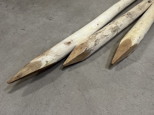 Robinia palen geschild en gepunt