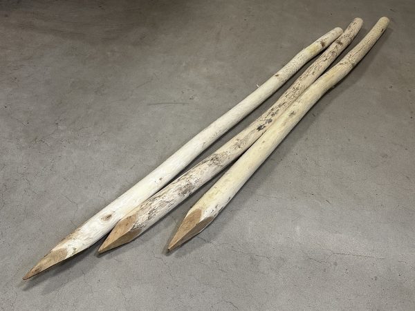 Robinia palen geschild en gepunt