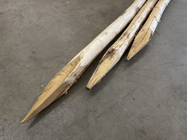 Robinia palen geschild en gepunt