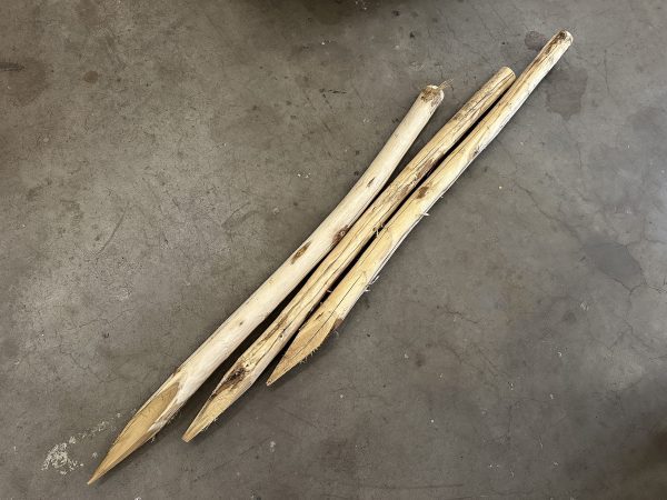 Robinia palen geschild en gepunt