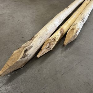Robinia palen geschild en gepunt