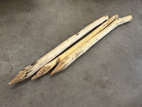 Robinia palen geschild en gepunt