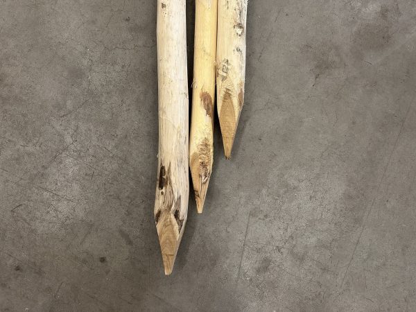 Robinia palen geschild en gepunt