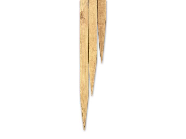 robinia palen gezaagd met punt