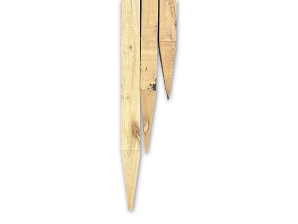 robinia palen gezaagd met punt